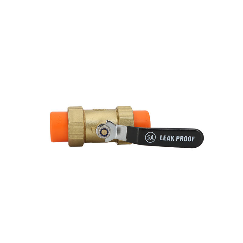 PPR Brass Ball Valve DN25