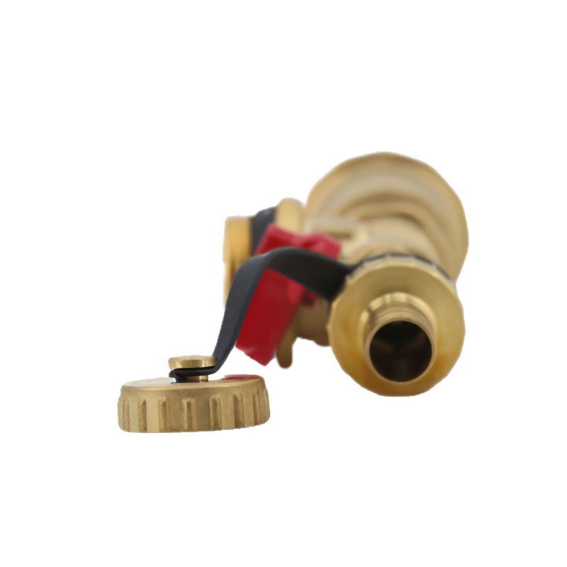 Automatic Exhaust and Drain Valve Kit DN25