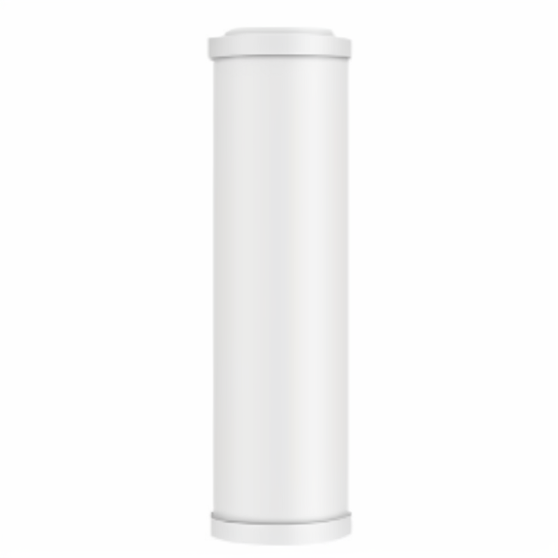 Flat Ceramic Water Filter Cartridge 2L/min