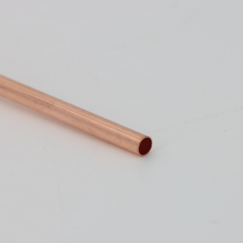 Check Valve       D0201001A005