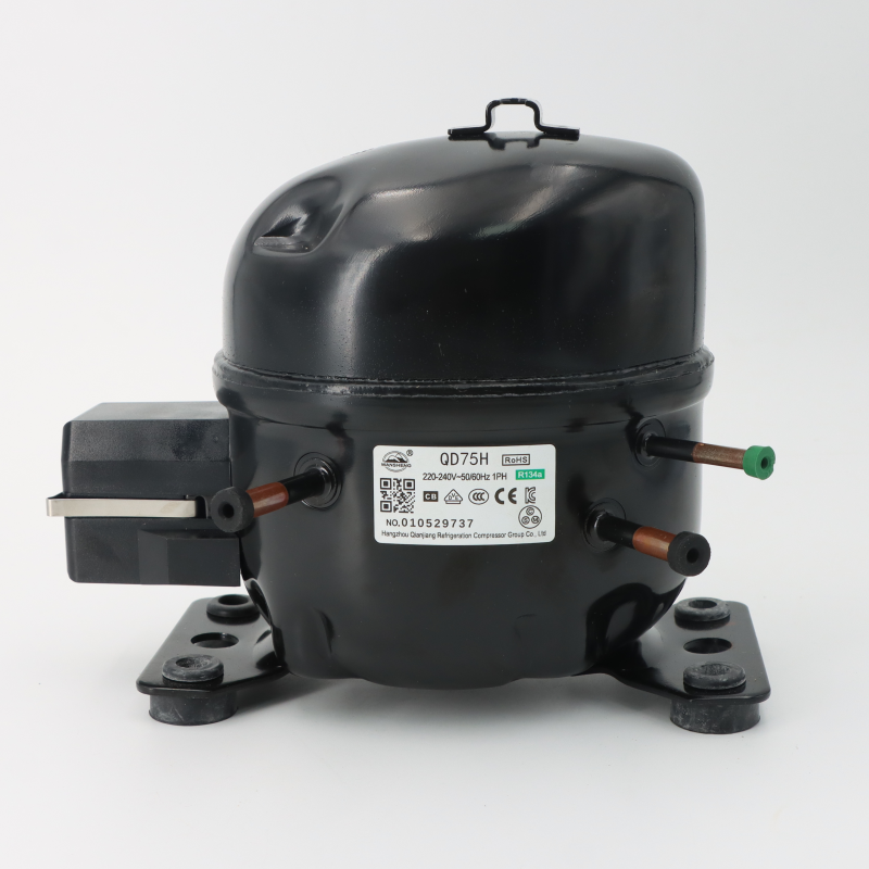 Refrigerator Compressor