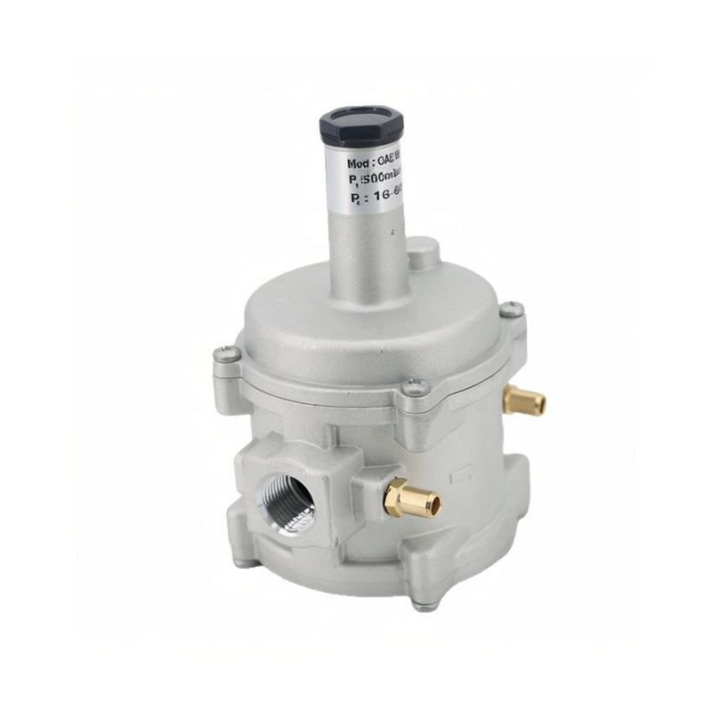 Gas Pressure Filter Regulators 1-3KPA