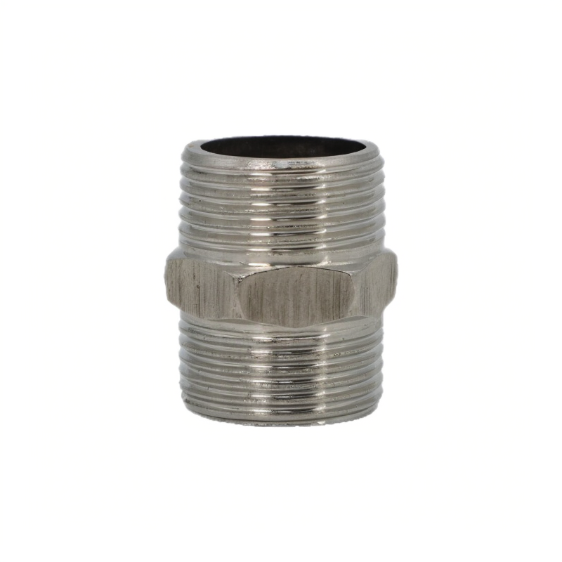 Stainless Steel M-M Thread Hex Nipple DN20