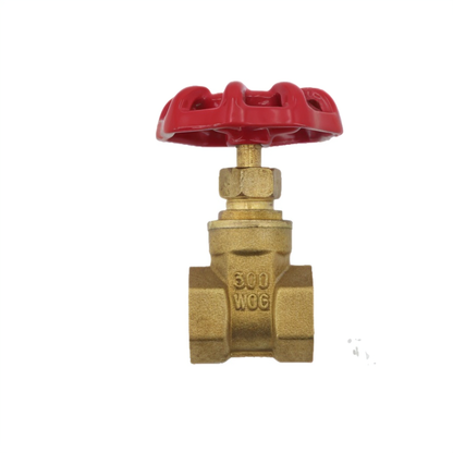 Handwheel Brass Gate Valves, DN15/1/2 Brass 59-1