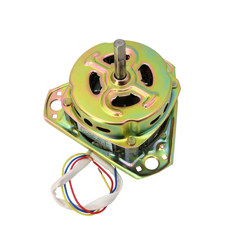 Washing Machine Motor